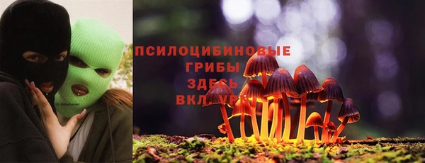 ALPHA-PVP Новозыбков