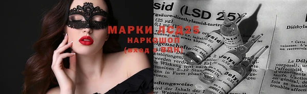 индика Нягань