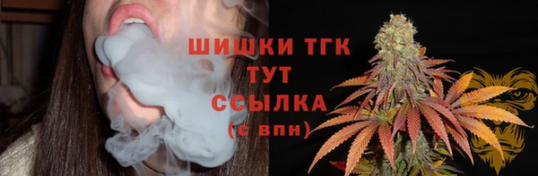 соль ск Нязепетровск