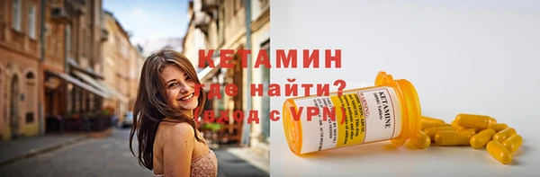 индика Нягань