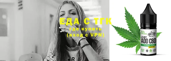 индика Нягань