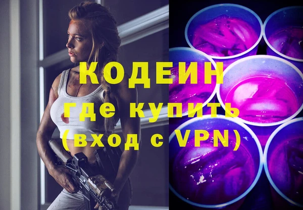 индика Нягань