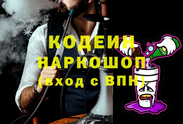 индика Нягань