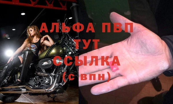 ALPHA-PVP Новозыбков