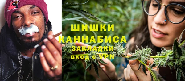индика Нягань