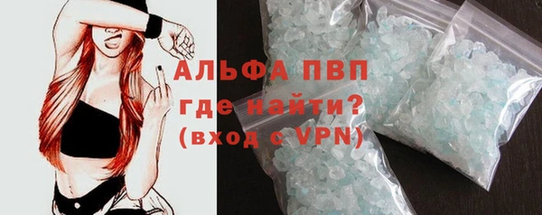 индика Нягань