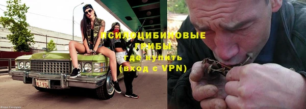 ALPHA-PVP Новозыбков