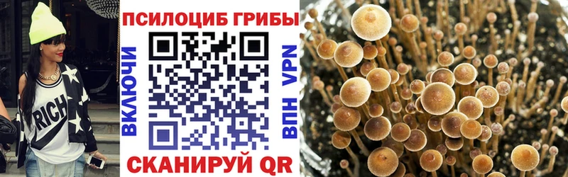 Галлюциногенные грибы MAGIC MUSHROOMS  купить закладку  Серафимович 